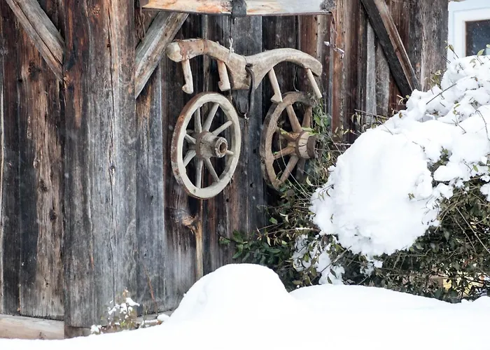 Apartment Schwalbennest *